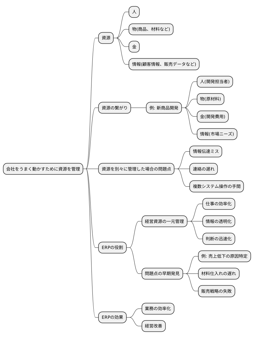 全体像