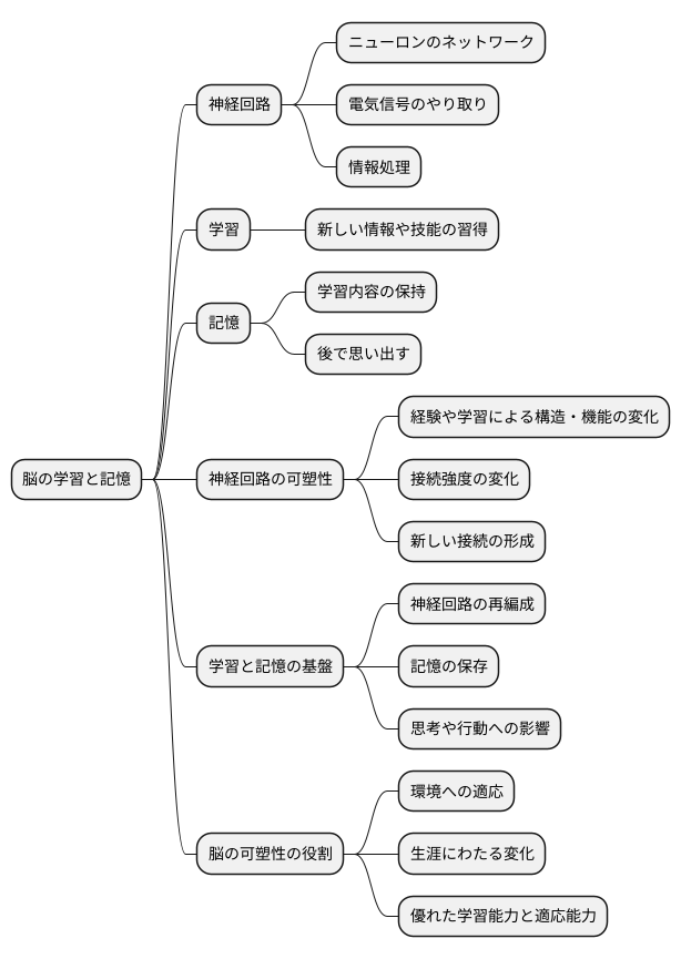 学習と記憶