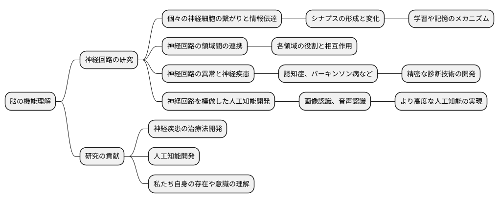 今後の研究